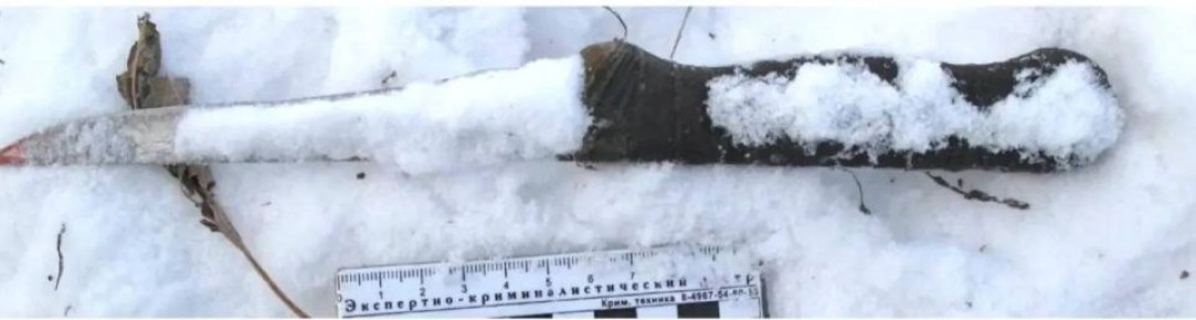 В Омской области прокуратура направила в суд уголовное дело в отношении местной жительницы, обвиняемой в убийстве сожителя