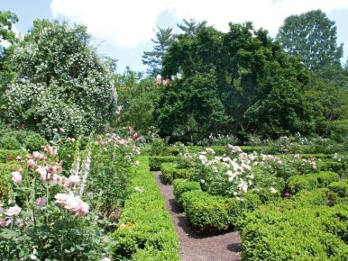 ������ �������� ����� ����� ��������� ����� ���������