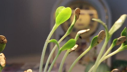 ����������� ������ ��������� ����������� ����� � ������� ��������������