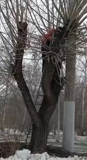 ������� �� ���������� ������: � ����� ������ ������, ���������� �� ������