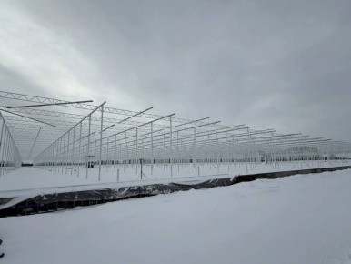 ������� ������� ������� � ������������� ���������� ��������� � ������