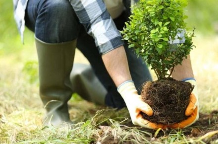 ������� ������� �������: ��� ��������� ������� � ����������� ����� ������