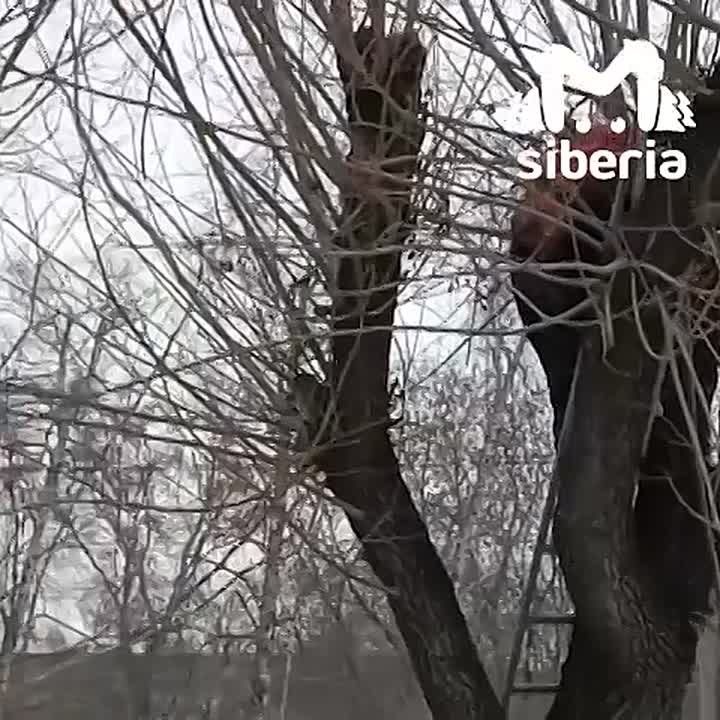 ������������ ������ ����� � ������ � �����