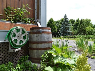 ��� ����� ����� ����� ����� ���������� ���������