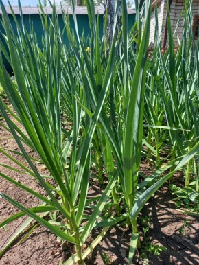 ��� ��������� ������ � ��������� �������� �� ���������� �����