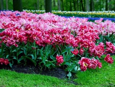 Как создать идеальный сад: 17 вдохновляющих шагов