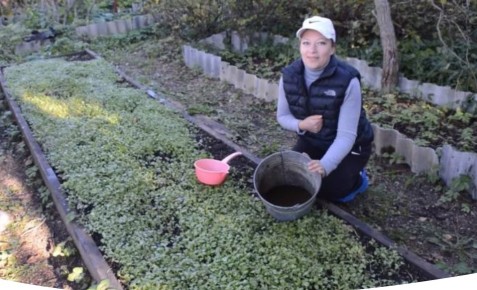 ��� ����������� ������ � ����: ������ ������� ���������