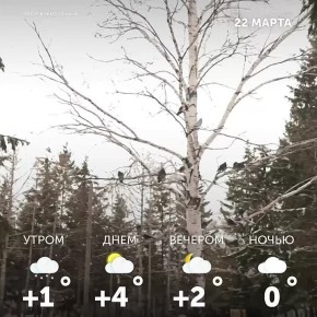 ������ ����, �����!. �������� ��� � ������ ����������