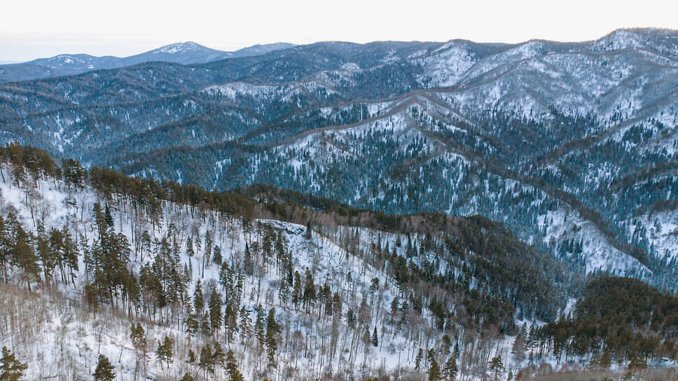 Новые границы заповедников: Госдума делает шаг к изменению правил
