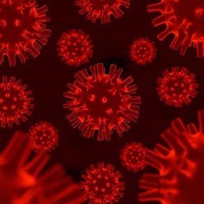 � ������ ������ � �������� ������ ��������� ������ �� �������� ��-�� �������