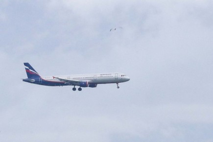 ������� ���������� ������� ������� �� ������ ���������� ���