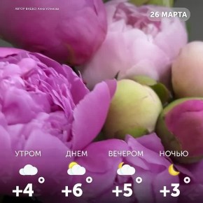 ������ ����, �����!. ������ ������ ���� � �������� ��������