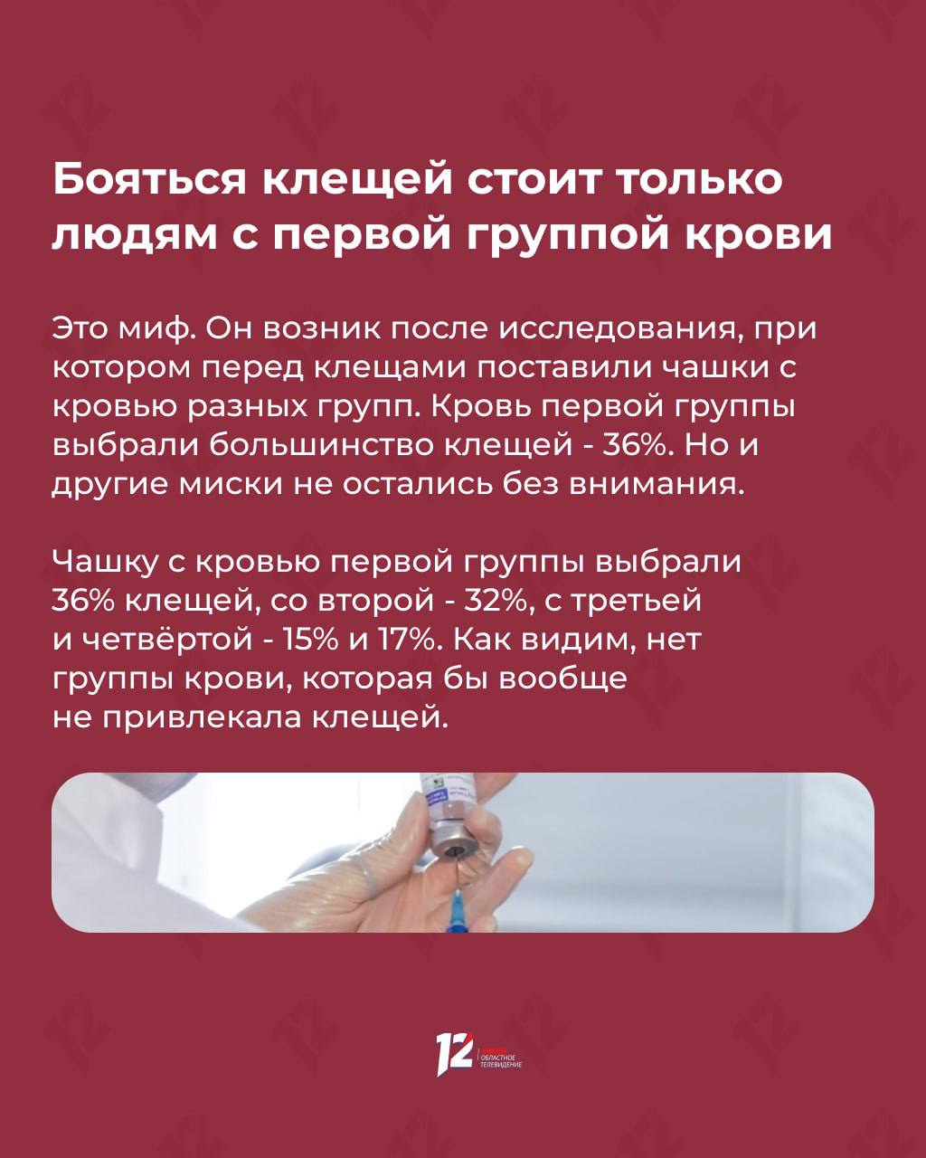 Прыгают с деревьев на людей в белом? Мифы и факты о клещах Прыгают с деревьев на людей в белом? Мифы и факты о клещах