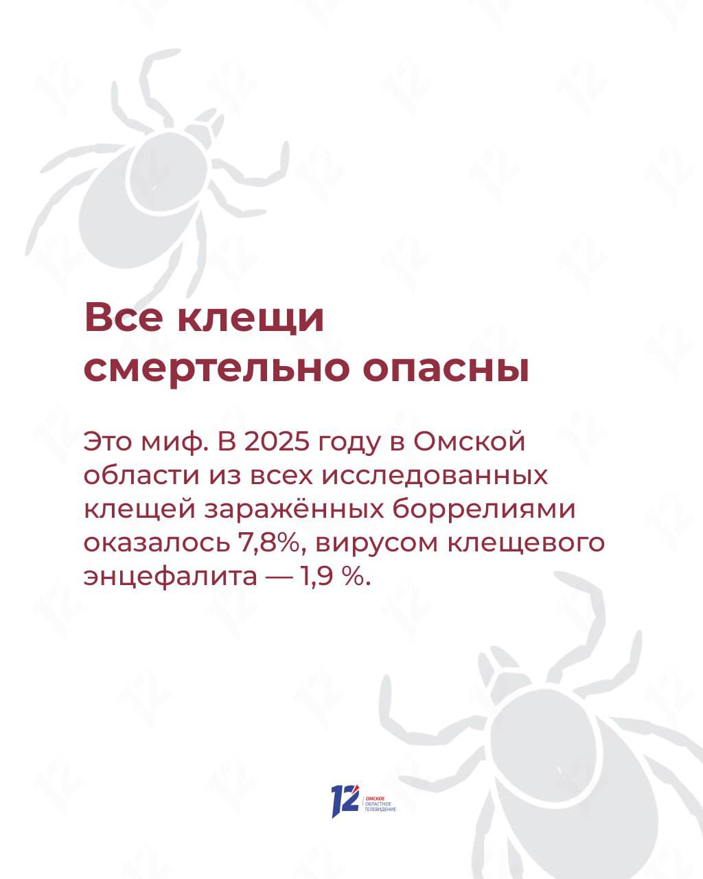 Прыгают с деревьев на людей в белом? Мифы и факты о клещах Прыгают с деревьев на людей в белом? Мифы и факты о клещах