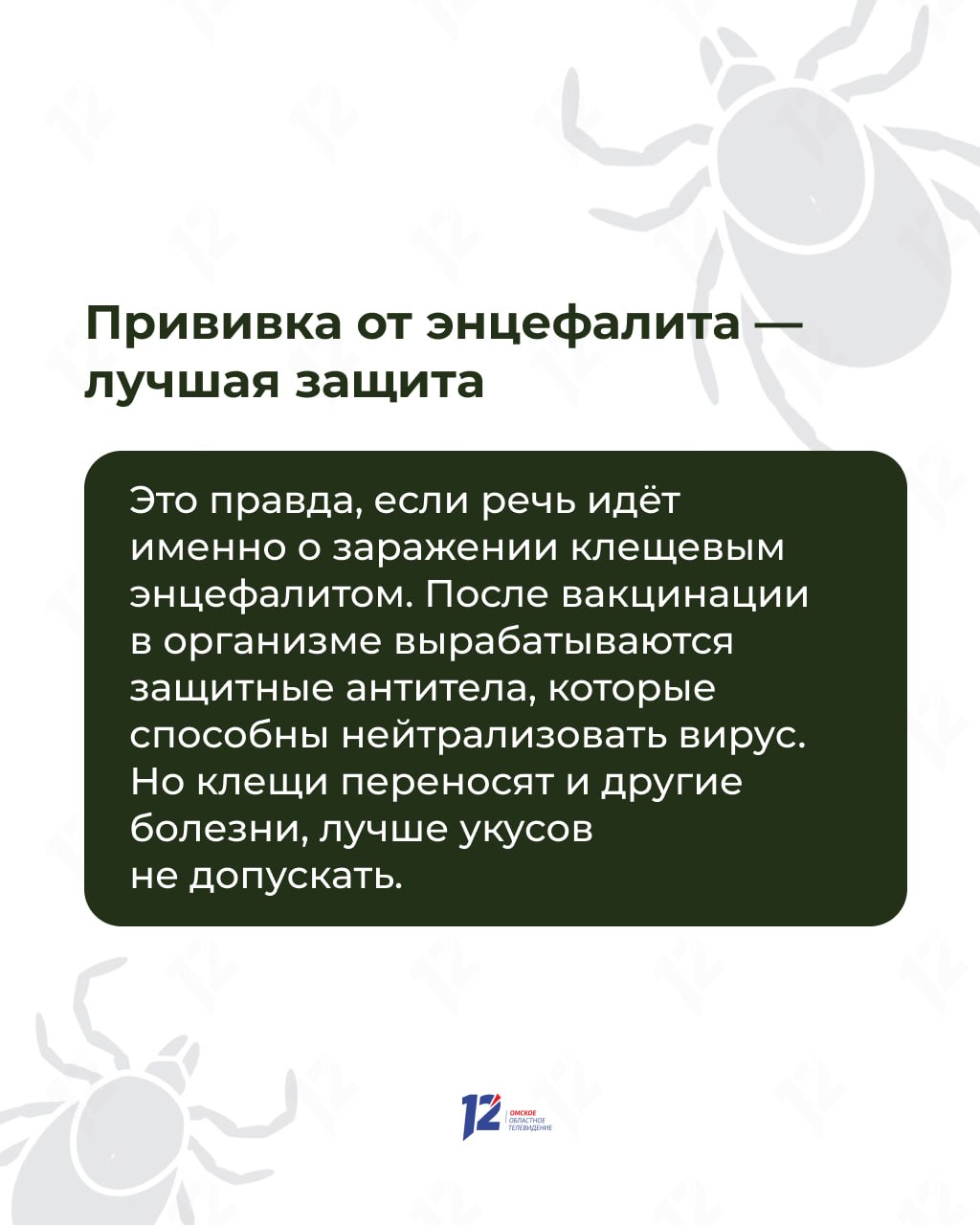 Прыгают с деревьев на людей в белом? Мифы и факты о клещах Прыгают с деревьев на людей в белом? Мифы и факты о клещах