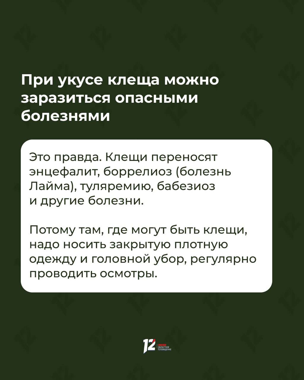 Прыгают с деревьев на людей в белом? Мифы и факты о клещах Прыгают с деревьев на людей в белом? Мифы и факты о клещах