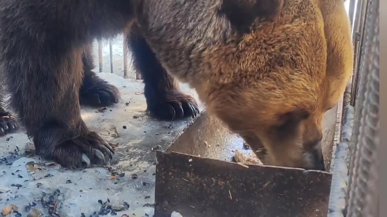 Доброе утро, дорогие омичи!