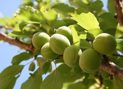 ��� ������� ��������� ����� ��� ������� �������� � �����������