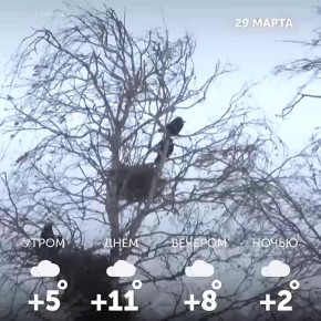 ������ ����, �����!. ������ ����� ��� ���� ��� �������� �������� � ������� ������� ������������!