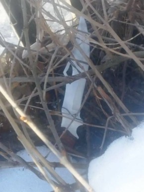 � ����-����� �������� �������� ������ �������� � ��������� �� �������� �� ������