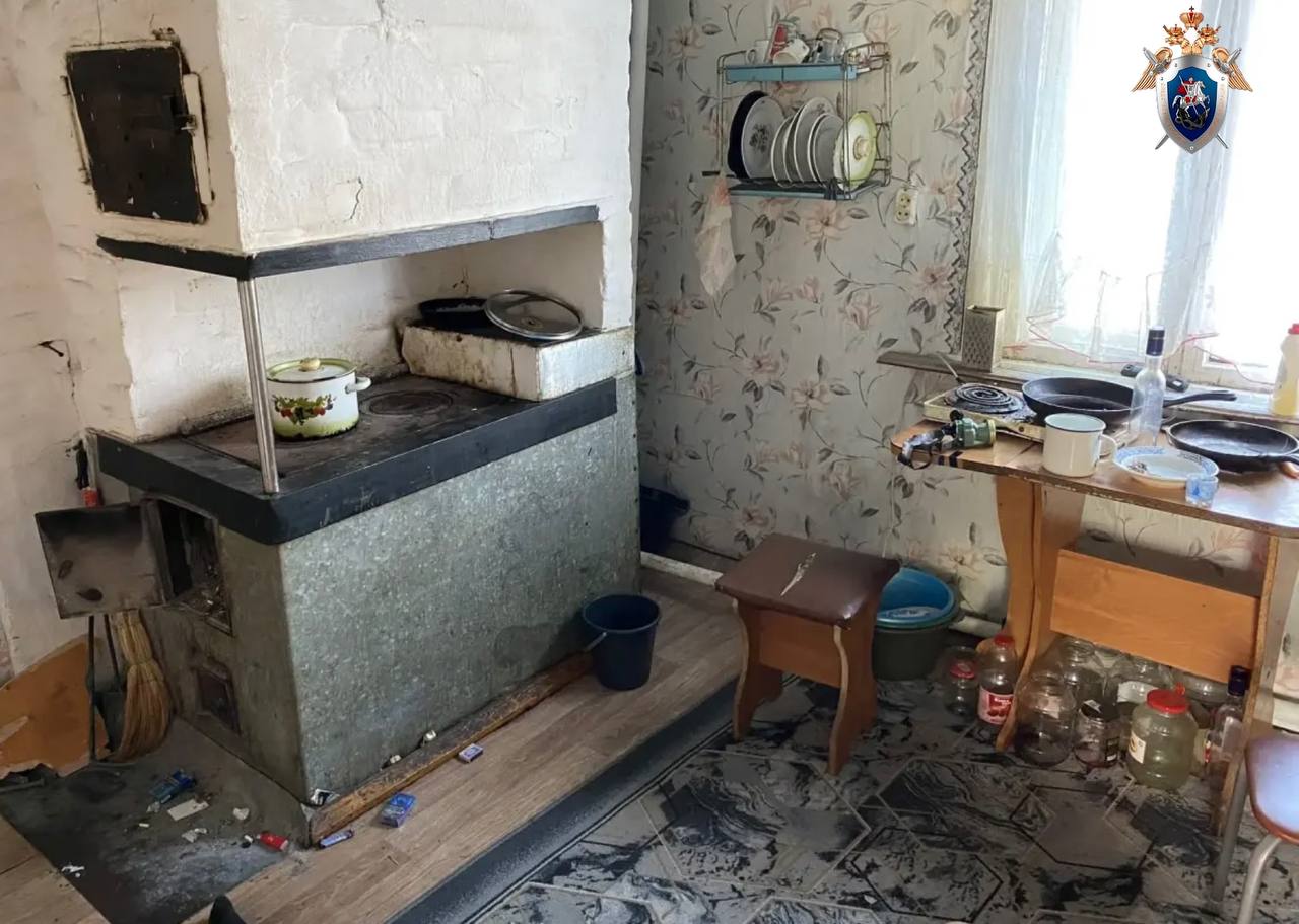 В Омской области заключен под стражу мужчина, обвиняемый в убийстве своего отчима и покушении на убийство односельчанина В Омской области заключен под стражу мужчина, обвиняемый в убийстве своего отчима и покушении на убийство односельчанина