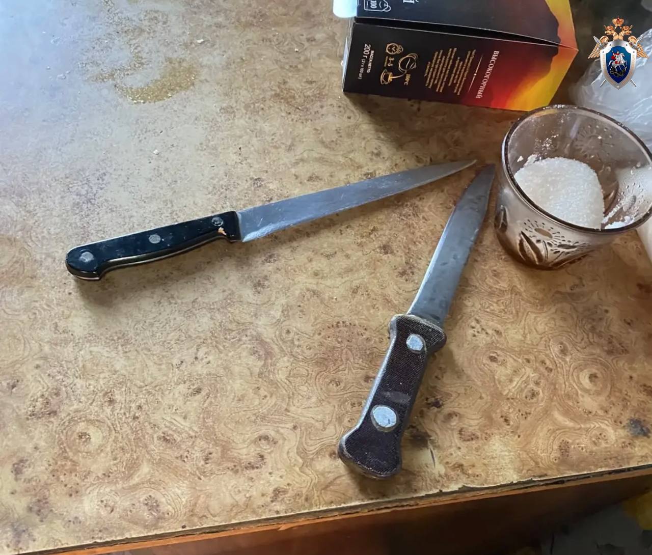 В Омской области заключен под стражу мужчина, обвиняемый в убийстве своего отчима и покушении на убийство односельчанина В Омской области заключен под стражу мужчина, обвиняемый в убийстве своего отчима и покушении на убийство односельчанина