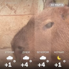 ������ ����, �����!. ������ ������ ����, �������� �������� � ������ �� ������ ������