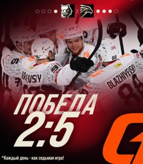 Выездной триумф: омский «Авангард» обыграл «Нефтехимик»