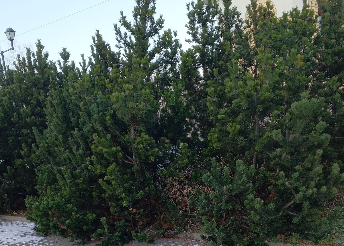 66 лет: новый взгляд на счастье и радость в жизни