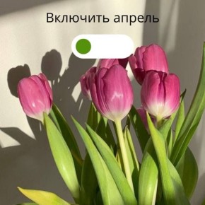 ������ ����! � 1 ������!. ������� ��� ����� ����, ����� ����� ������� � ���� ���������, � ������ ������ ���� ������ ���� (�������� ����� �������� ������ �� ������� ������ ����������)