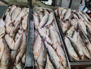 ������: ���������������� ��������� ��� � ����� ��������