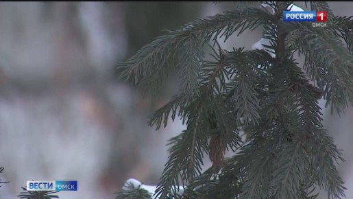 ������ ����, �����!. ������ ����, ������� ������� ��� ���� ������������? ���� ��� ������ � ������ 20 �����: �������� ������� �� 20 ����� ����� �����������