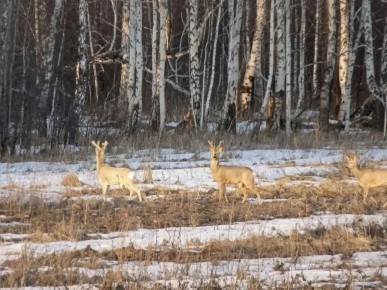 � ��������� � ������ ��������