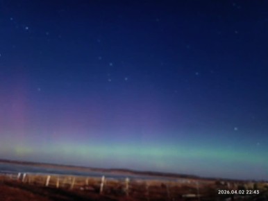 �������� ������ ������� ���� ��� ������ ��������