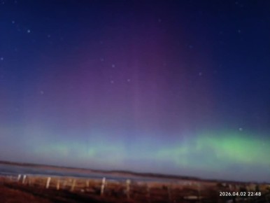 ��� ������ �������� ����� ���� ����� �������� ������