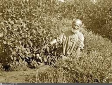 Календарь Культурной столицы