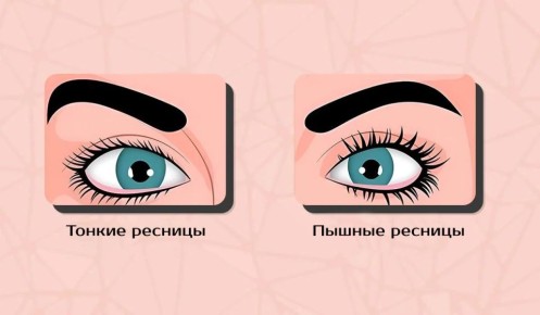 Тип ресниц и сокровенные черты характера