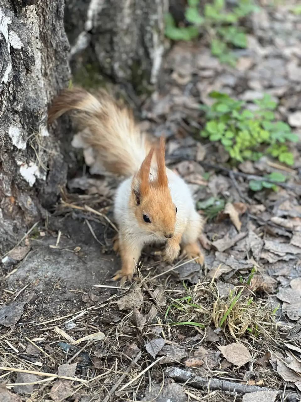 Доброе утро, омичи!. В регионе уже вовсю царит весна и дарит нам свои теплые и солнечные дни