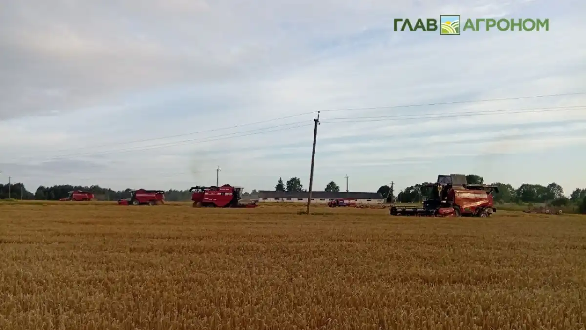 Эффективные стратегии применения минеральных удобрений в суровых условиях засушливых регионов России