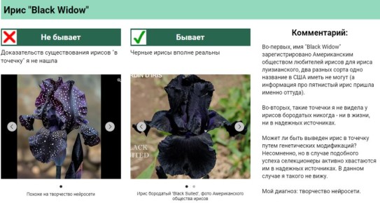 Как недобросовестные продавцы исказили истинные формы и цвета растений