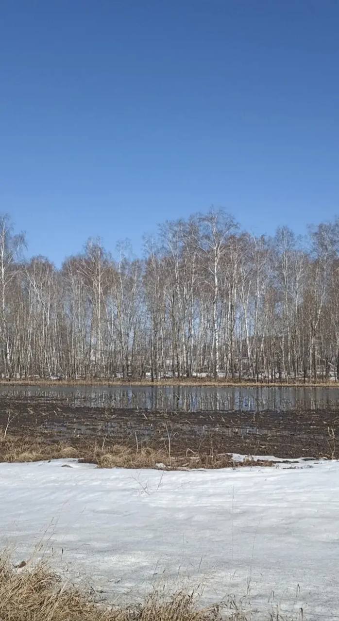 Доброе утро, омичи!. В регионе уже вовсю царит весна и дарит нам свои теплые и солнечные дни Доброе утро, омичи!. В регионе уже вовсю царит весна и дарит нам свои теплые и солнечные дни