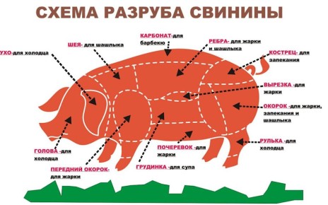 ��������� � ������� �������� ������� ����: �� ������� �� �����-�����������