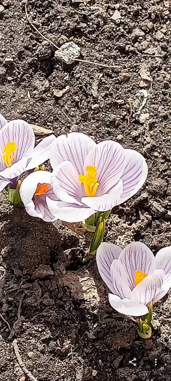 Доброе утро, омичи!. В регионе уже вовсю царит весна и дарит нам свои теплые и солнечные дни Доброе утро, омичи!. В регионе уже вовсю царит весна и дарит нам свои теплые и солнечные дни