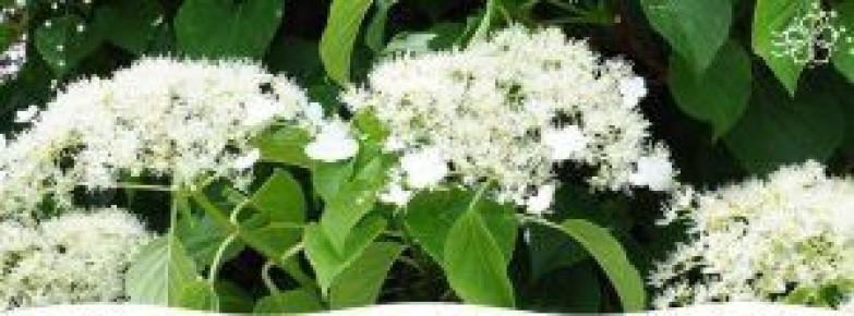 ���������� ���������: ��� ������� �������� ������ � ����