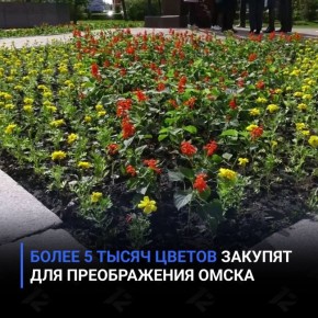 ����� 5 ����� ������ ������� ��� ������������ �����