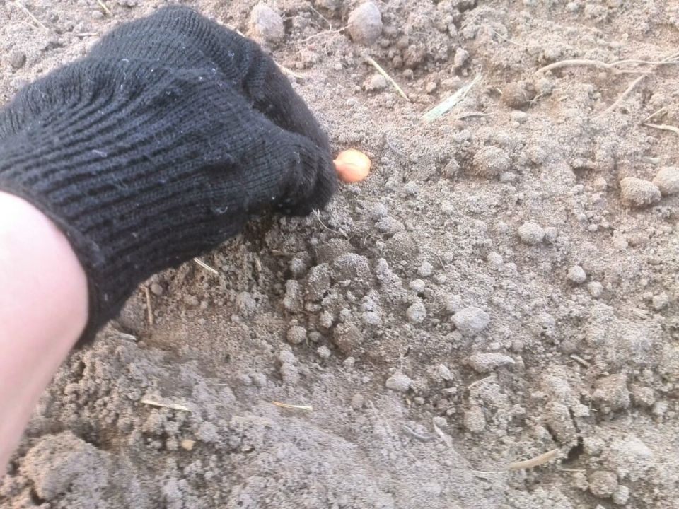 ��� ��������� ����������� � �������� ��� ��� ����: ������� ��������� ������