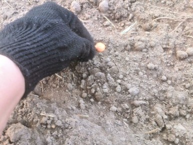 ��� ��������� ����������� � �������� ��� ��� ����: ������� ��������� ������