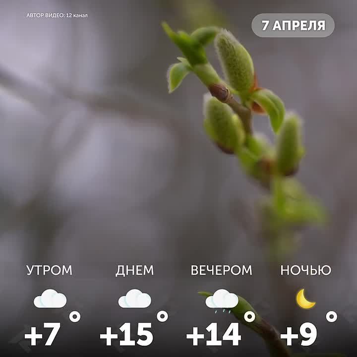 ������ ����, �����!. ������ ����������� �����������, ����� ������ � ������ ���������� ���� ��������� �����