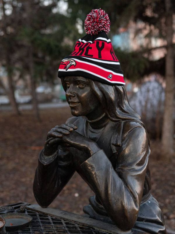 ���� ������� � �������� ������ �� ���������