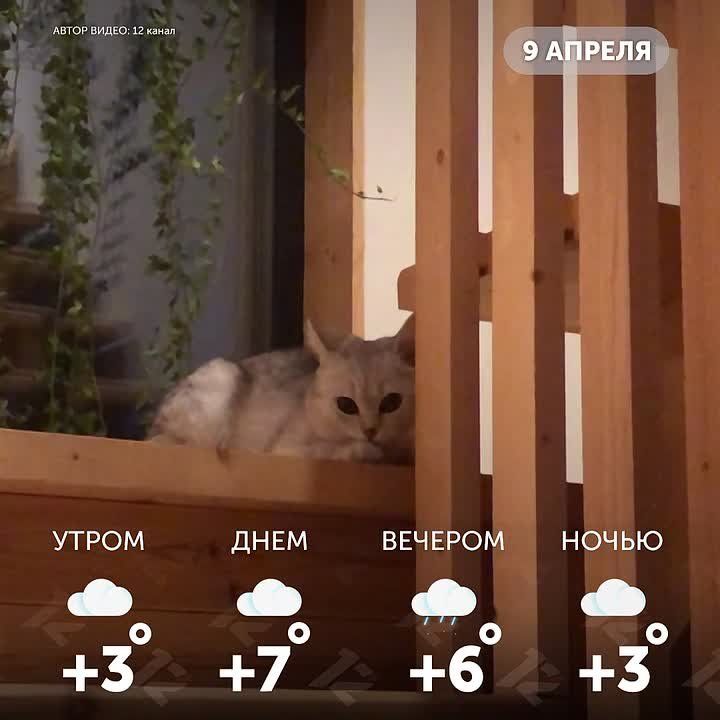 ������ ����, �����!. ����� ���� ���� ������ ������������, � �� ���� ������ ����� ��������!